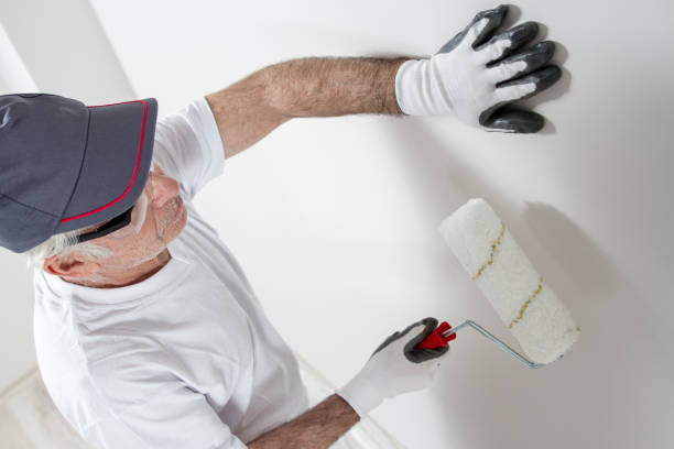 Brodhead, WI Mold Removal Company