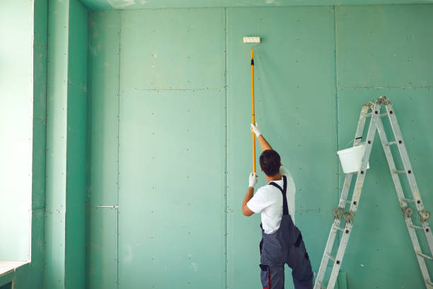 Best Forensic Mold Investigation  in Brodhead, WI