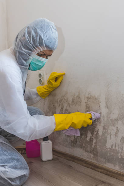 Best Emergency Mold Remediation  in Brodhead, WI