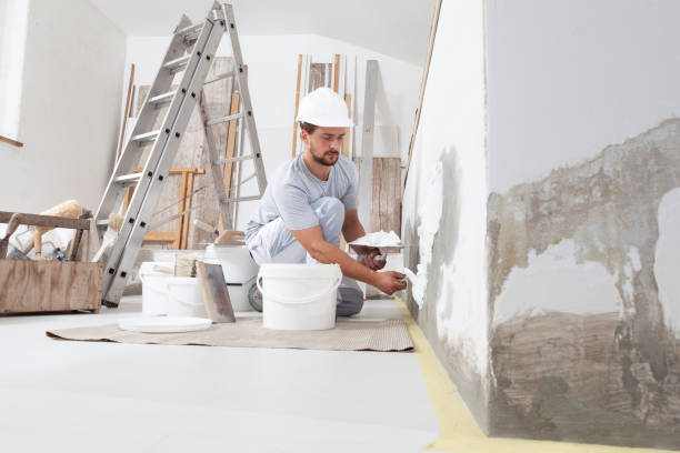 Best Real Estate Mold Inspection  in Brodhead, WI