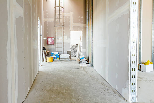 Best Water Damage & Mold Remediation  in Brodhead, WI