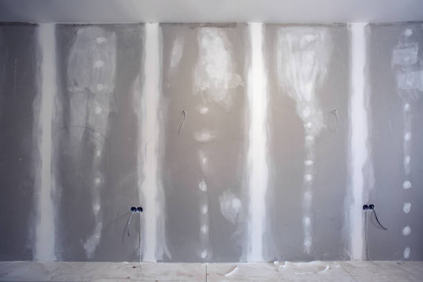 Best Mold Odor Removal Services  in Brodhead, WI